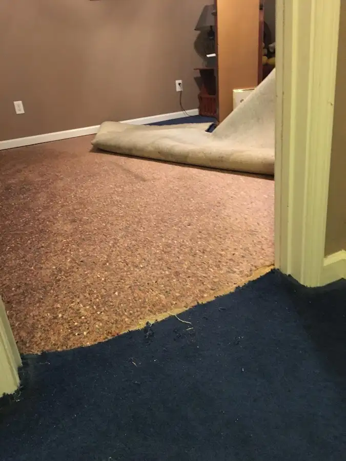 Carpet pad removal revealing water damage during Drying & Dehumidification in Daytona Beach Shores