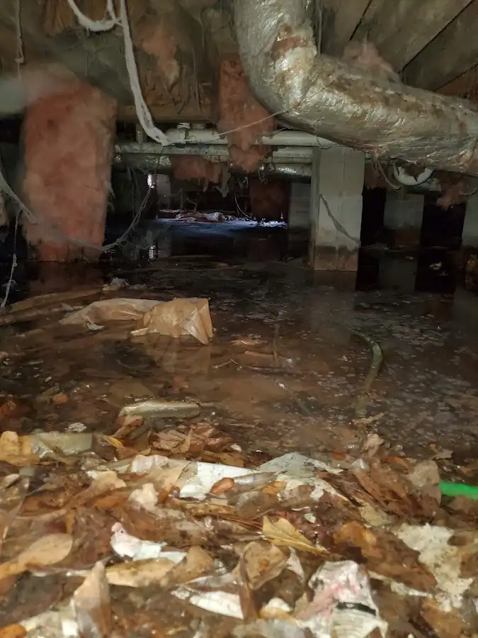 Crawl space flood assessment for Leak Detection & Repair in Daytona Beach Shores
